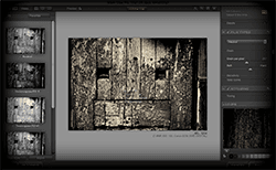 Nik Silver Efex Pro UI